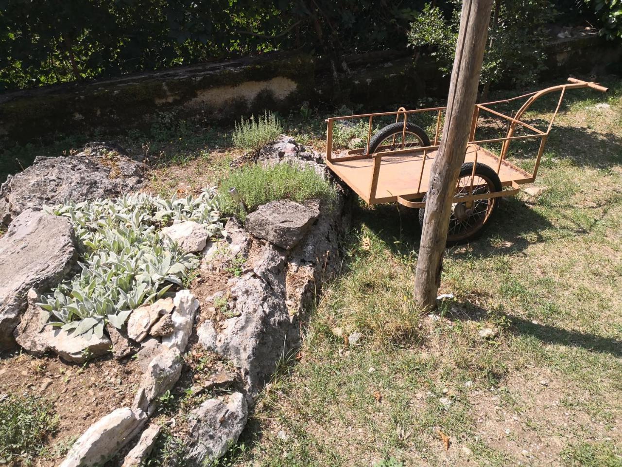 Bed and Breakfast La Mandra Morino Екстер'єр фото