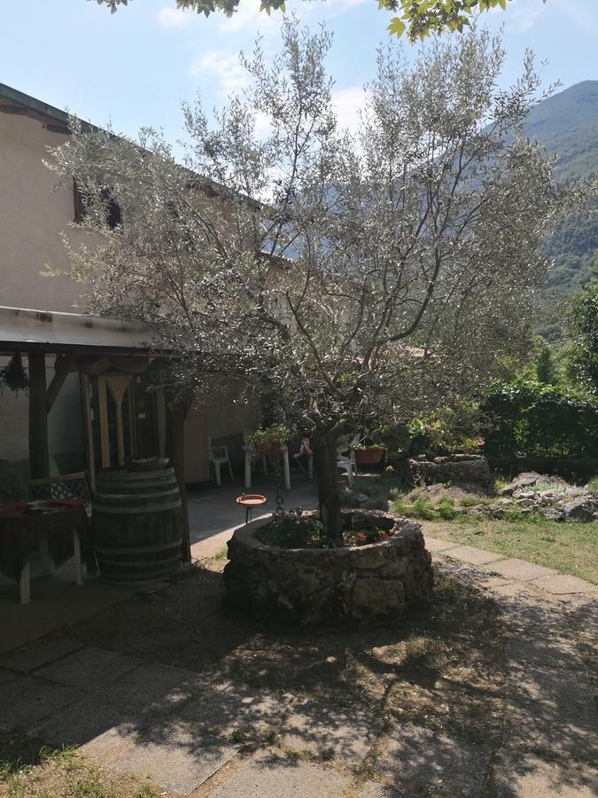 Bed and Breakfast La Mandra Morino Екстер'єр фото